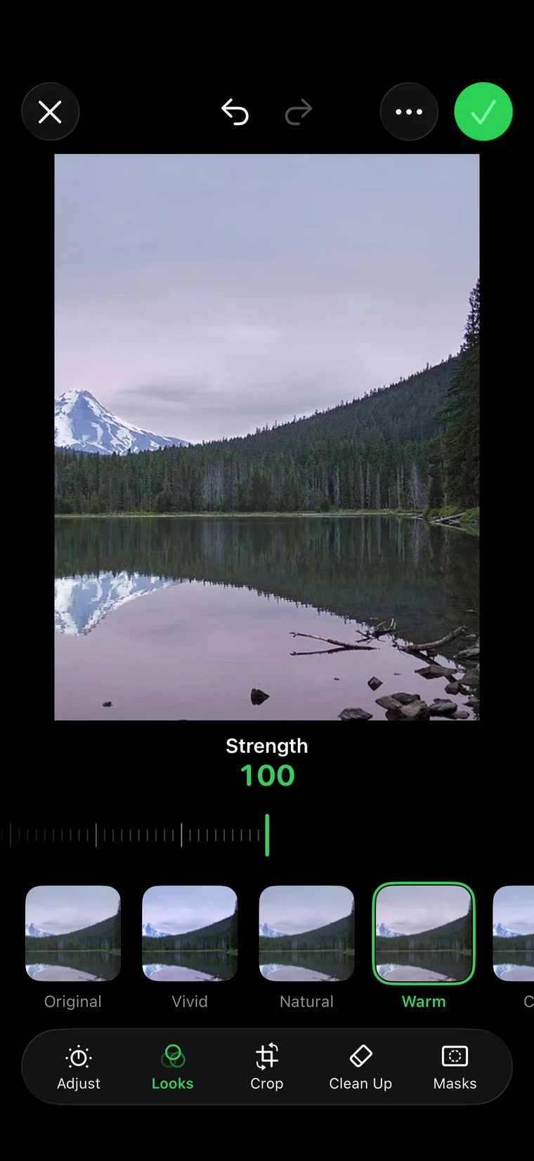 Editor on iPhone