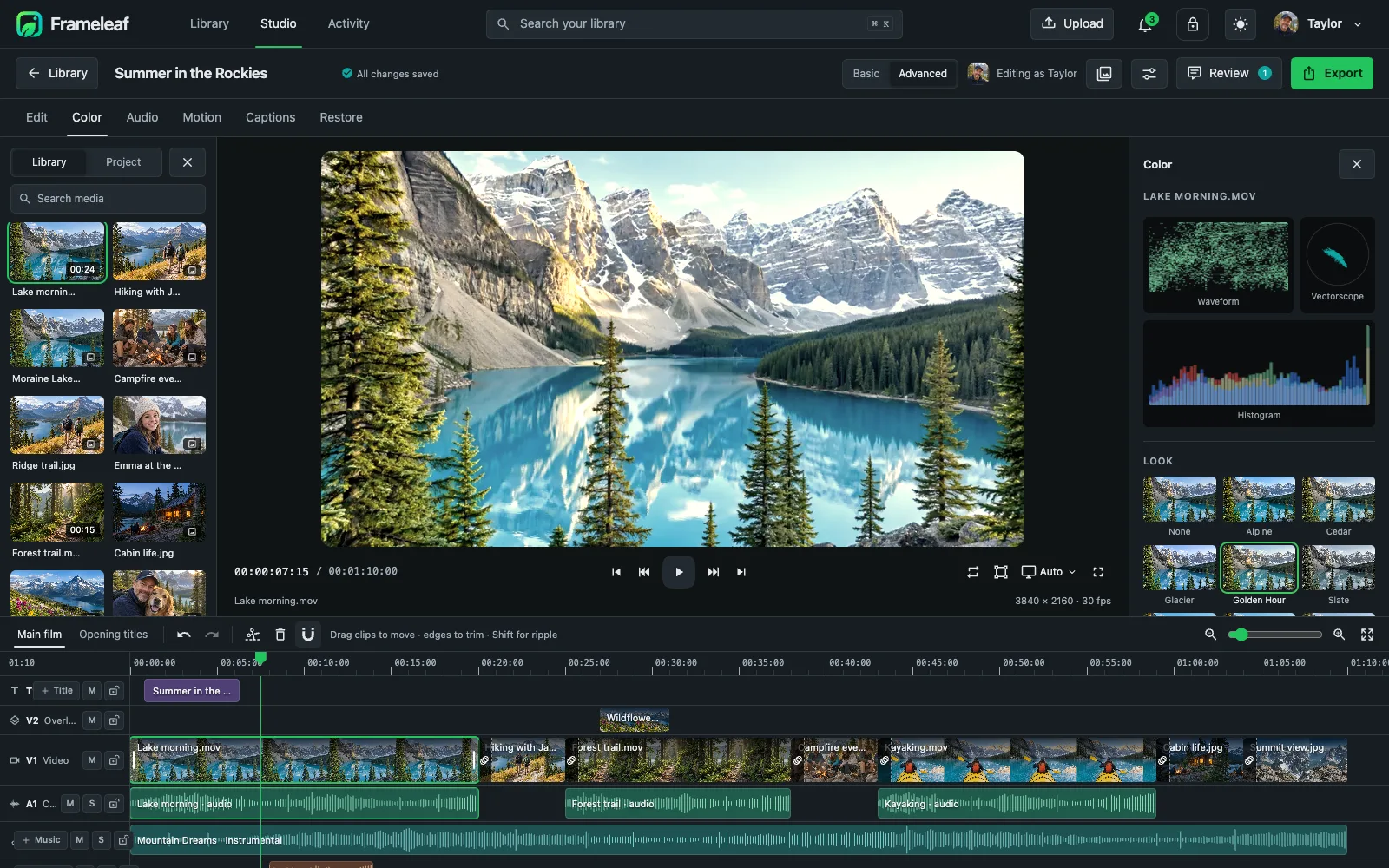 Colour tab with waveform, vectorscope, histogram and looks