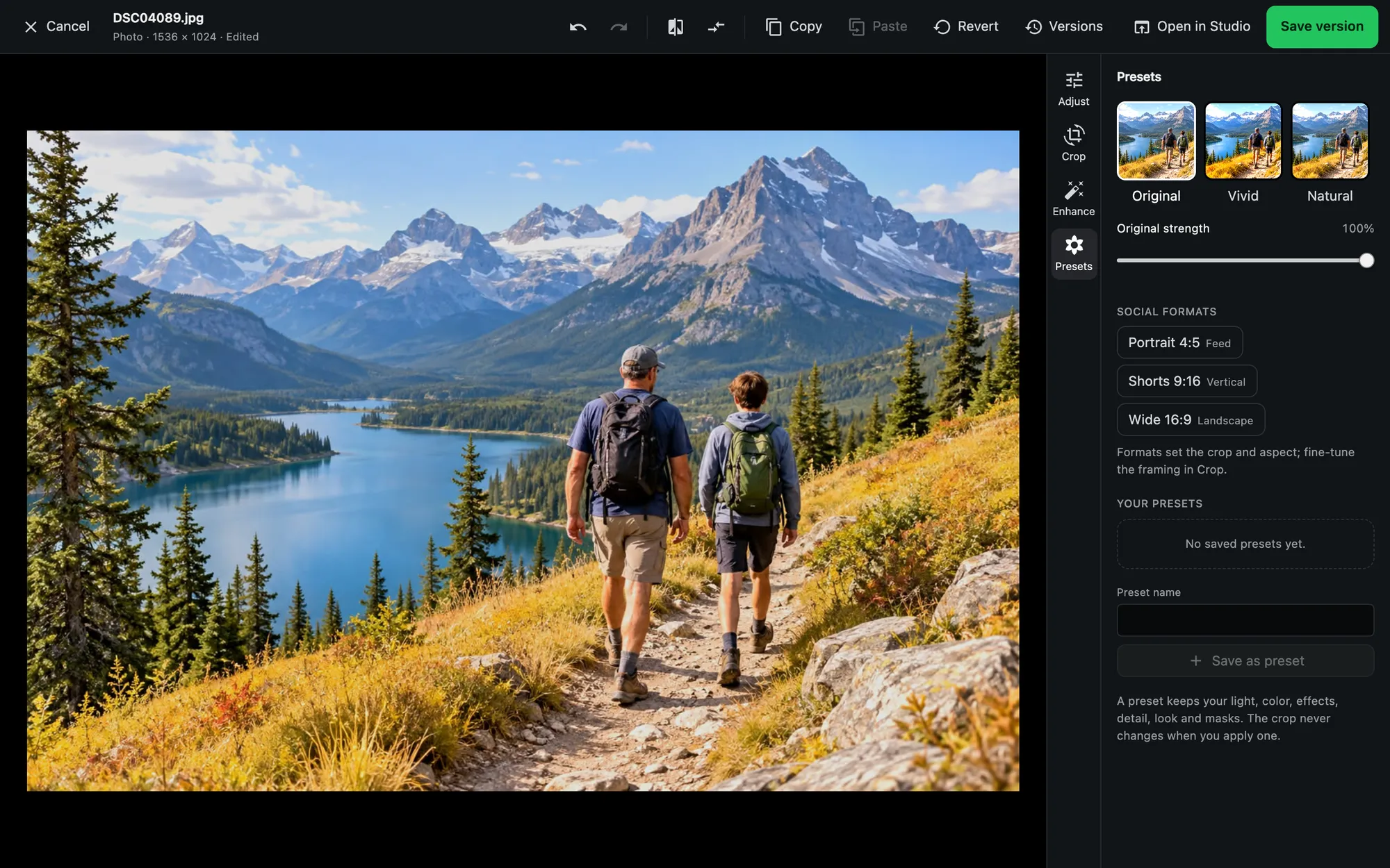 Presets in the web editor